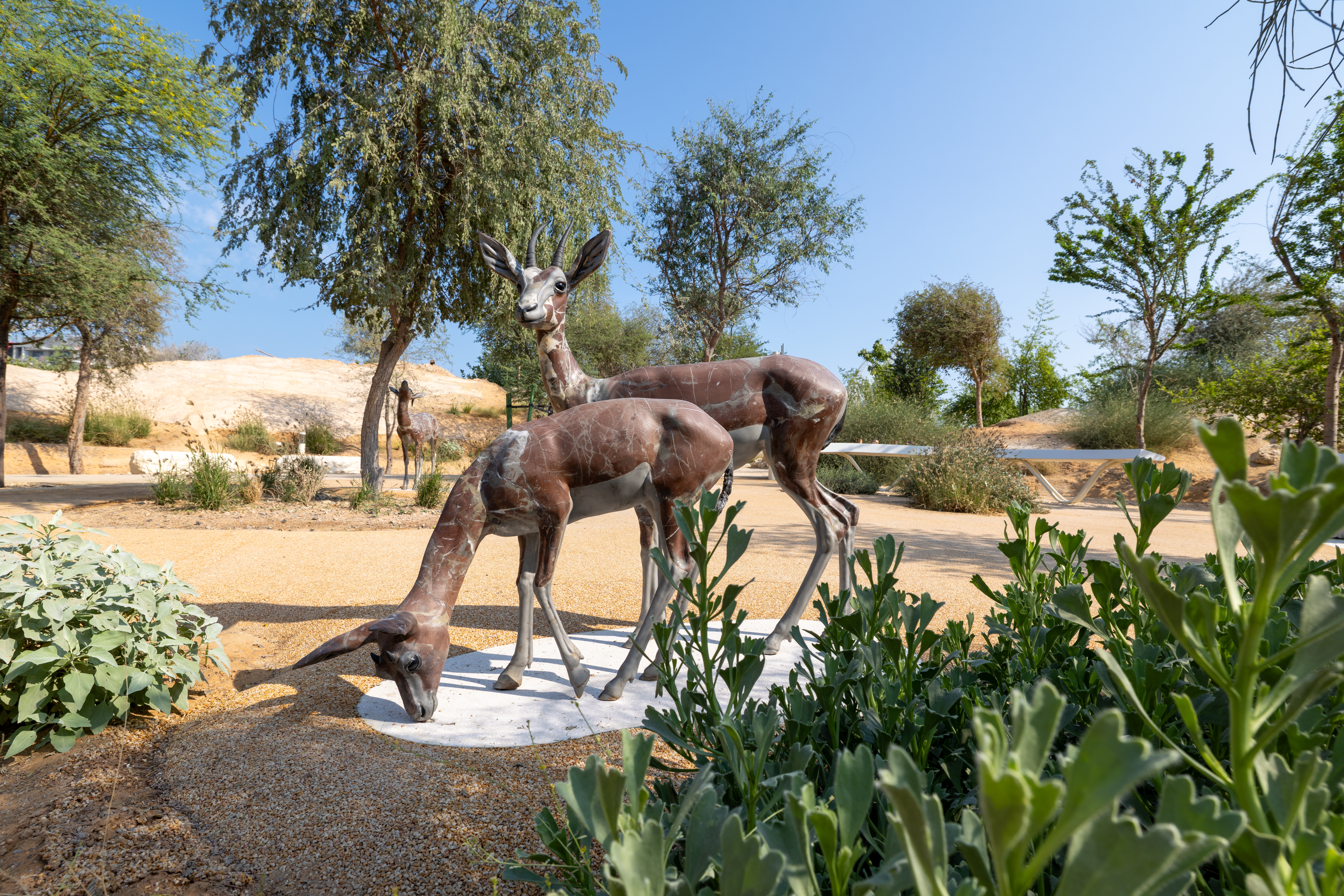 Image credits: Zayed National Museum